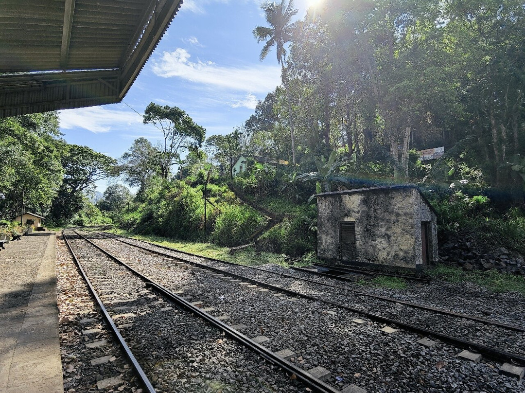 Ceylon Master Tours-Waskaduwa必去景点