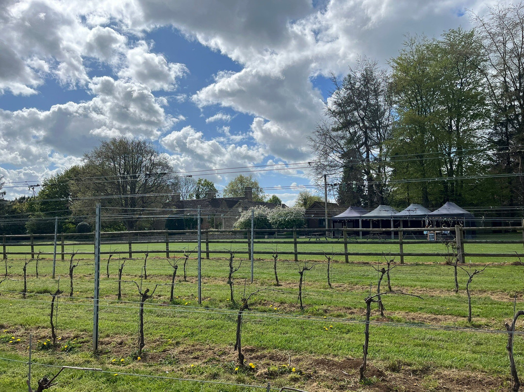 Larkhill Vineyard-泰特伯里必去景点