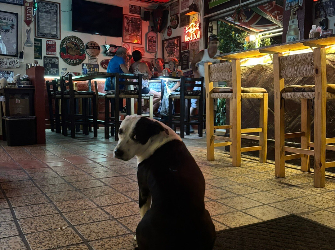Pinocho's Bar-瓦拉塔港必去景点