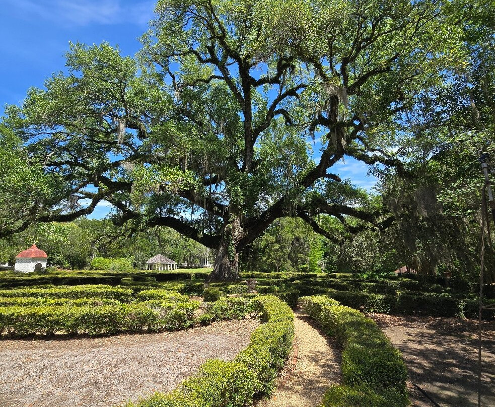 Rosedown Plantation State Historic Site-Saint Francisville必去景点