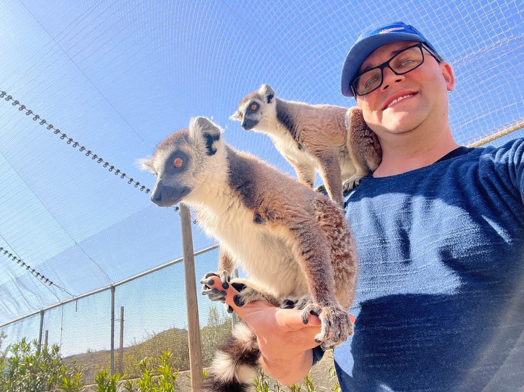 Farma of Rhodes Petting Zoo-罗德斯必去景点