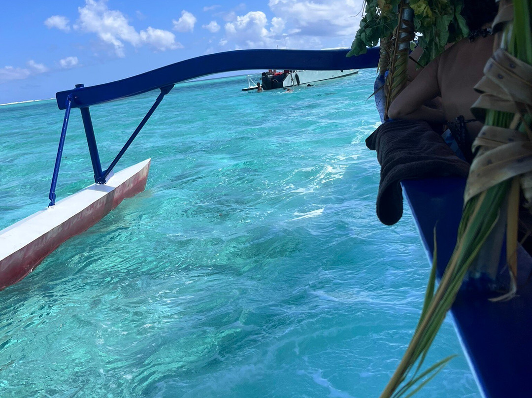 Bora Bora Lagoonarium-瓦伊塔佩必去景点