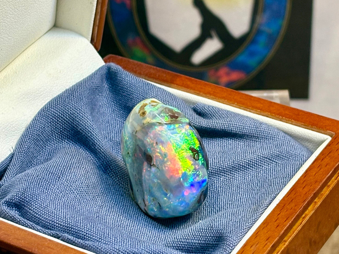 Opal Museum-布里斯班必去景点