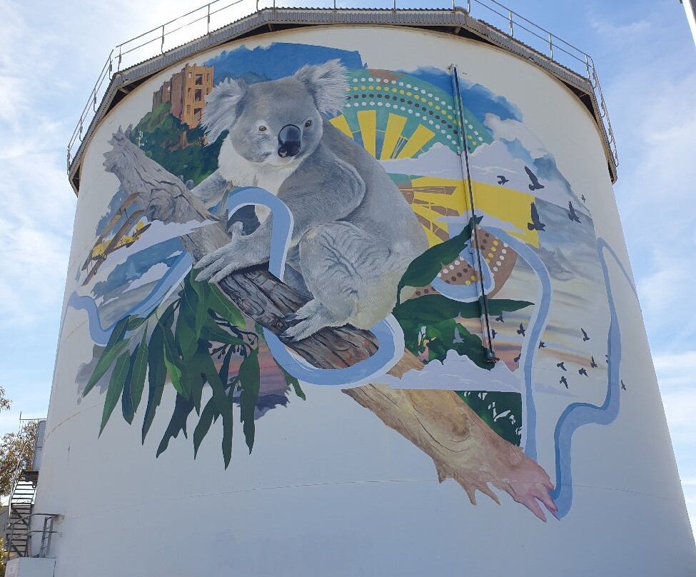 Narrandera Water Tower Art-Narrandera必去景点