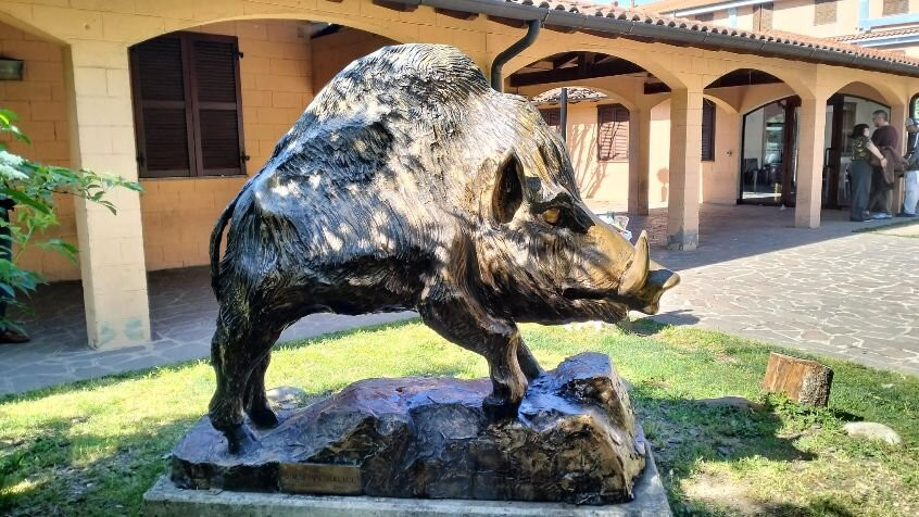 Statua Della Scrofa Semilanuta
