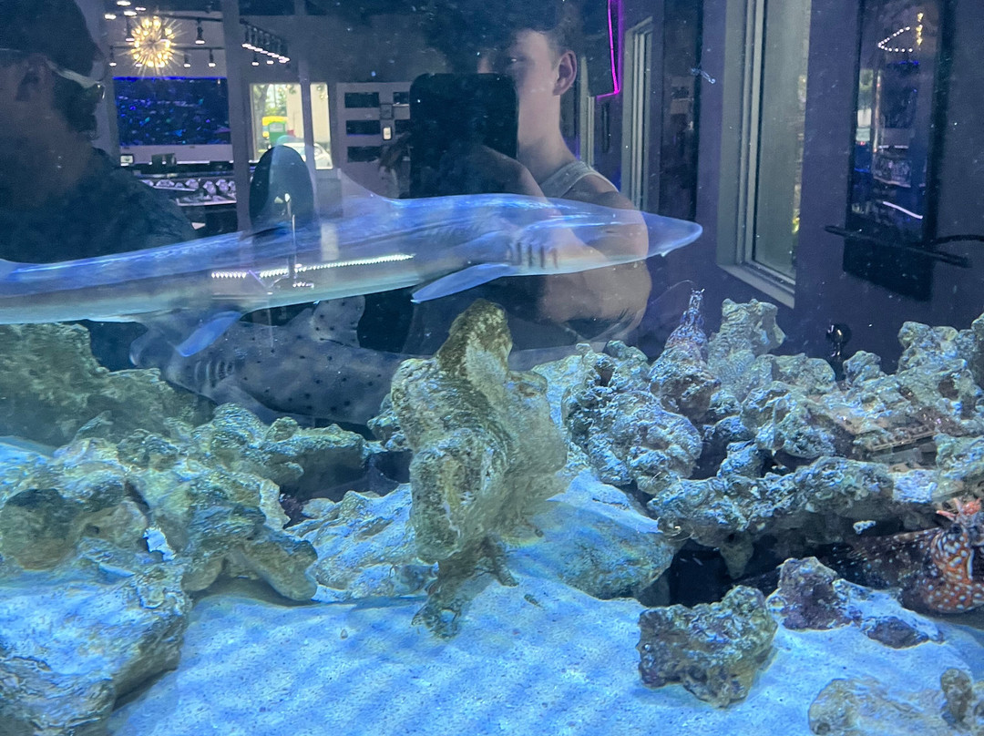 Boca Aquarium-博卡拉顿必去景点