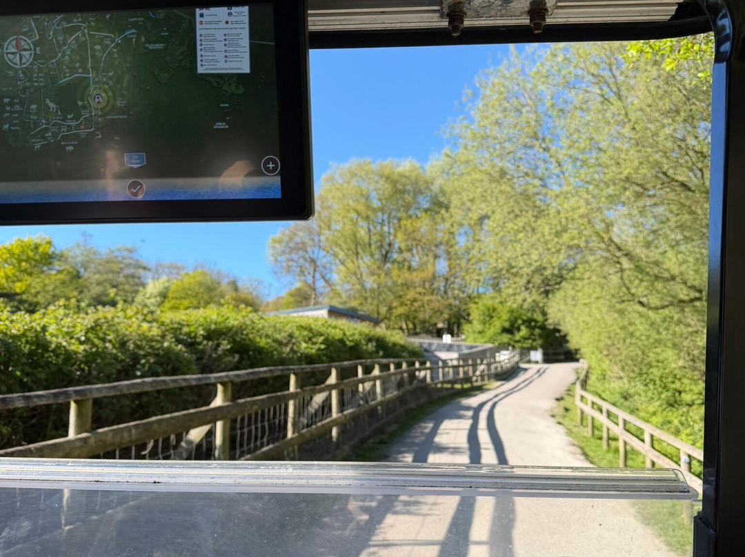Port Lympne Reserve-Lympne必去景点