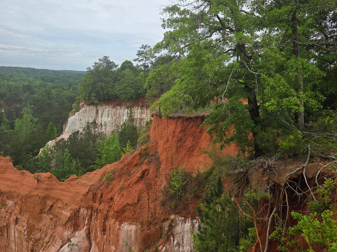 Providence Canyon State Park-Lumpkin必去景点