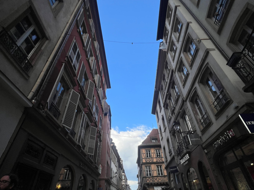 Centre-Ville de Strasbourg-斯特拉斯堡必去景点