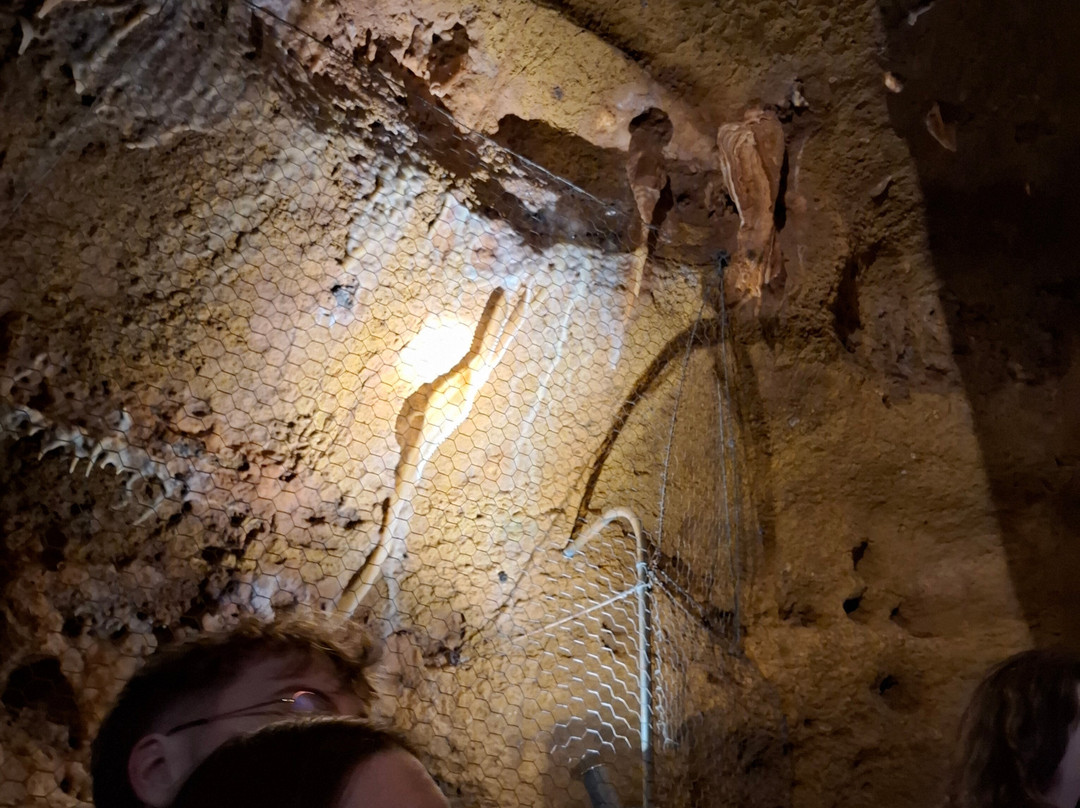Grotte Du Bosc-Saint-Antonin Noble Val必去景点