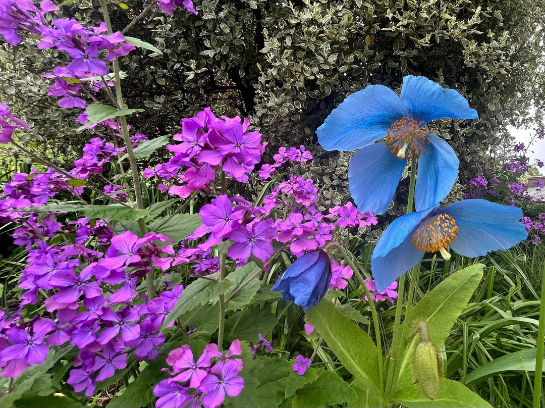 Holehird Gardens-温德米尔必去景点