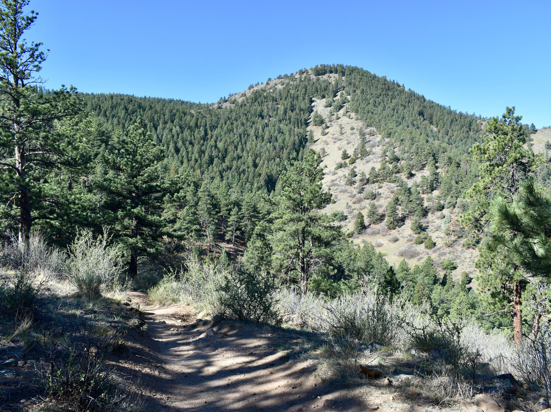 Mount Falcon Castle Trail-Morrison必去景点