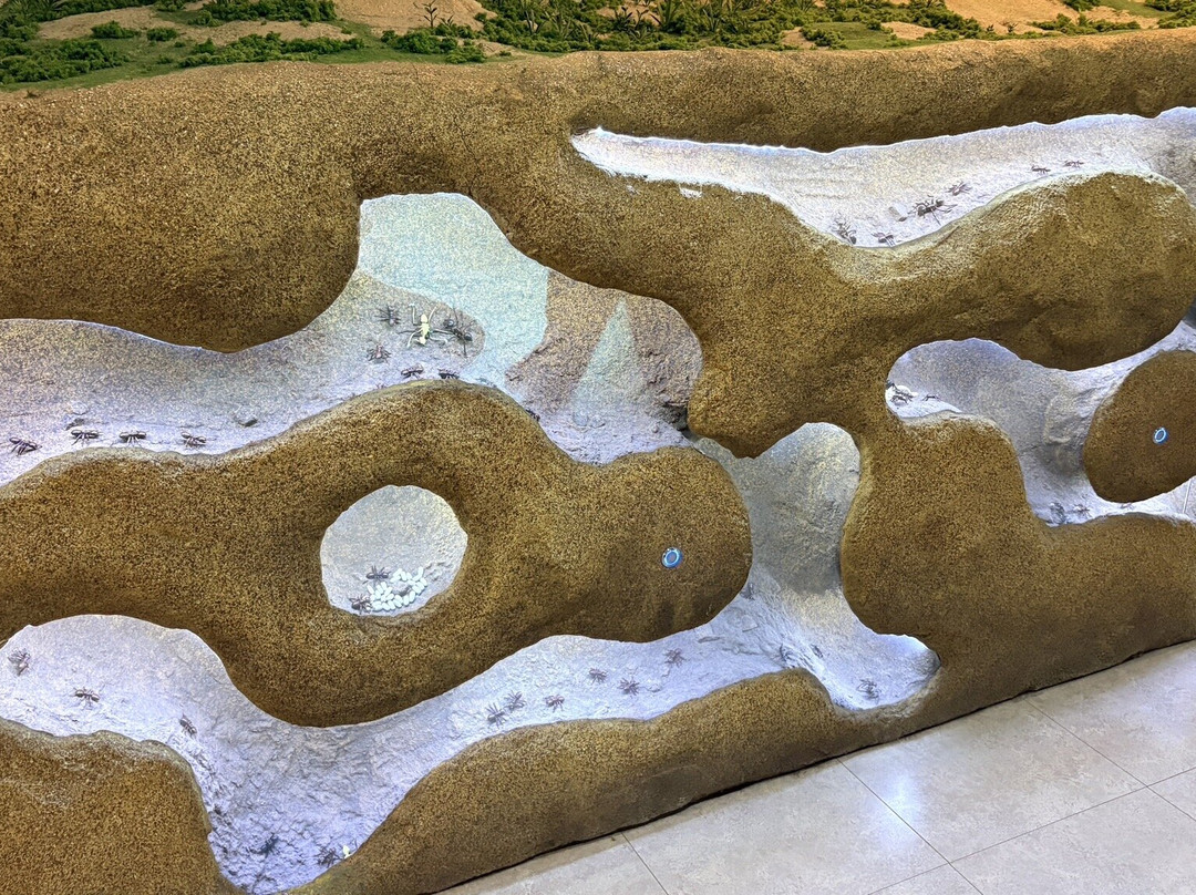 Geoje Botanic Garden Jungle Dome-巨济市必去景点