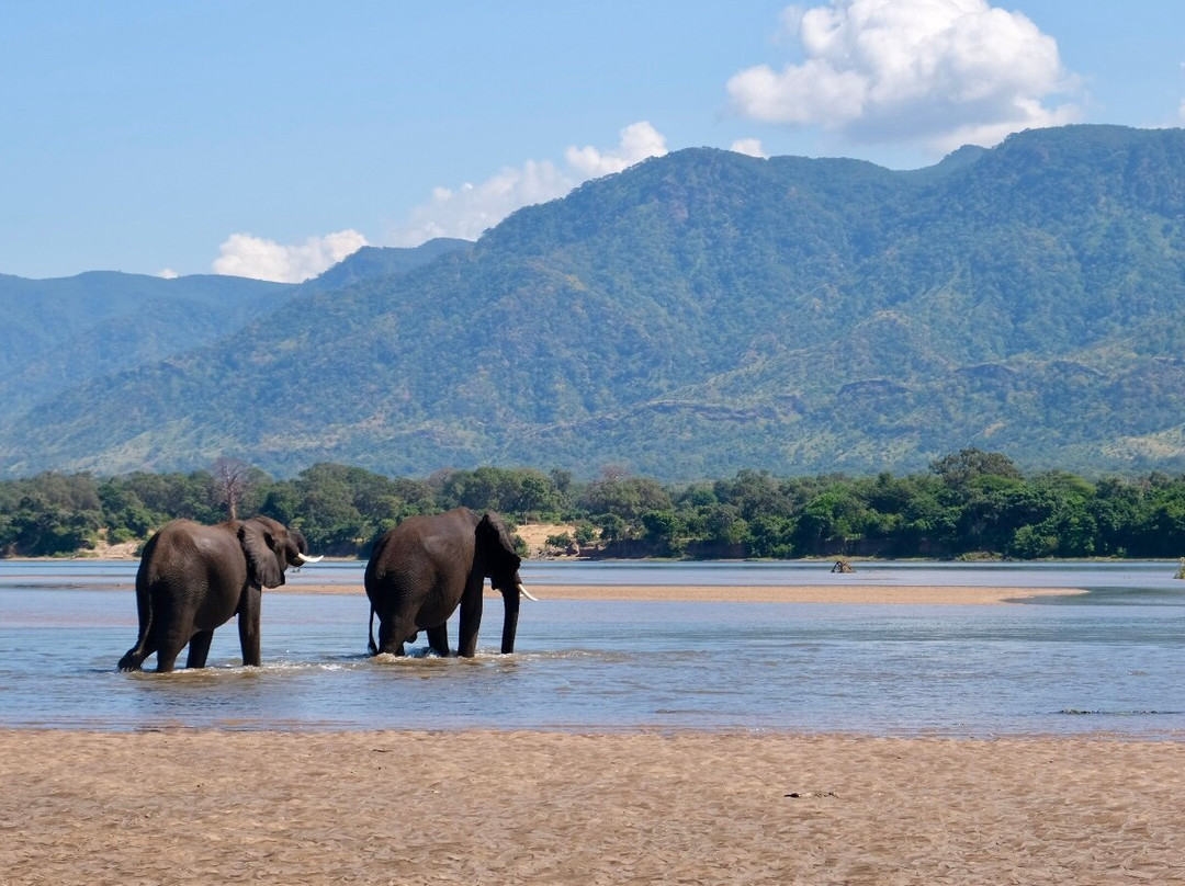 River Horse Safaris-Chirundu必去景点