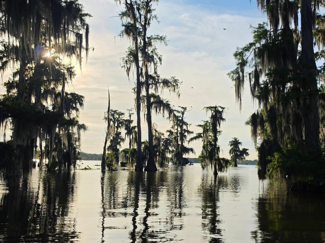 Louisiana Swamp Tours-布里奥克斯桥必去景点