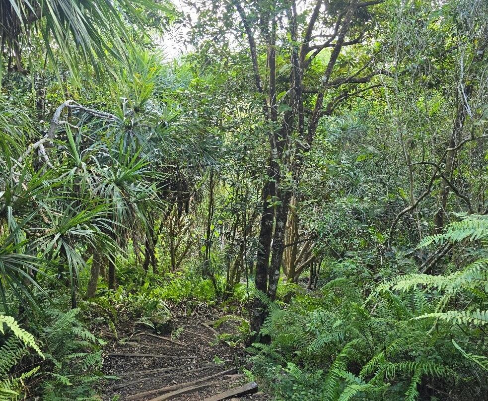 Grande Montagne Nature Reserve-罗德里格斯岛必去景点