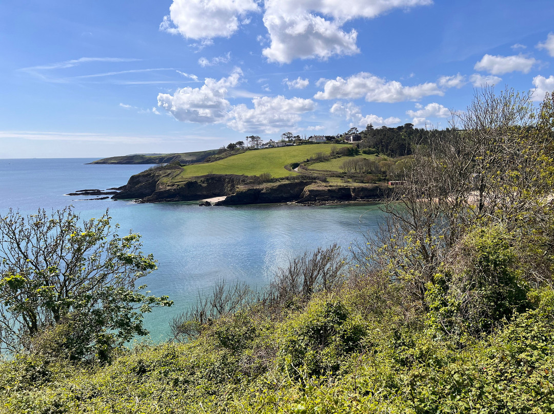 Maenporth to Swanpool Path Walk-Maenporth必去景点