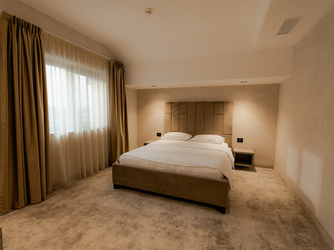 Hotel Roman Maramures - Ski & Spa Resort主图
