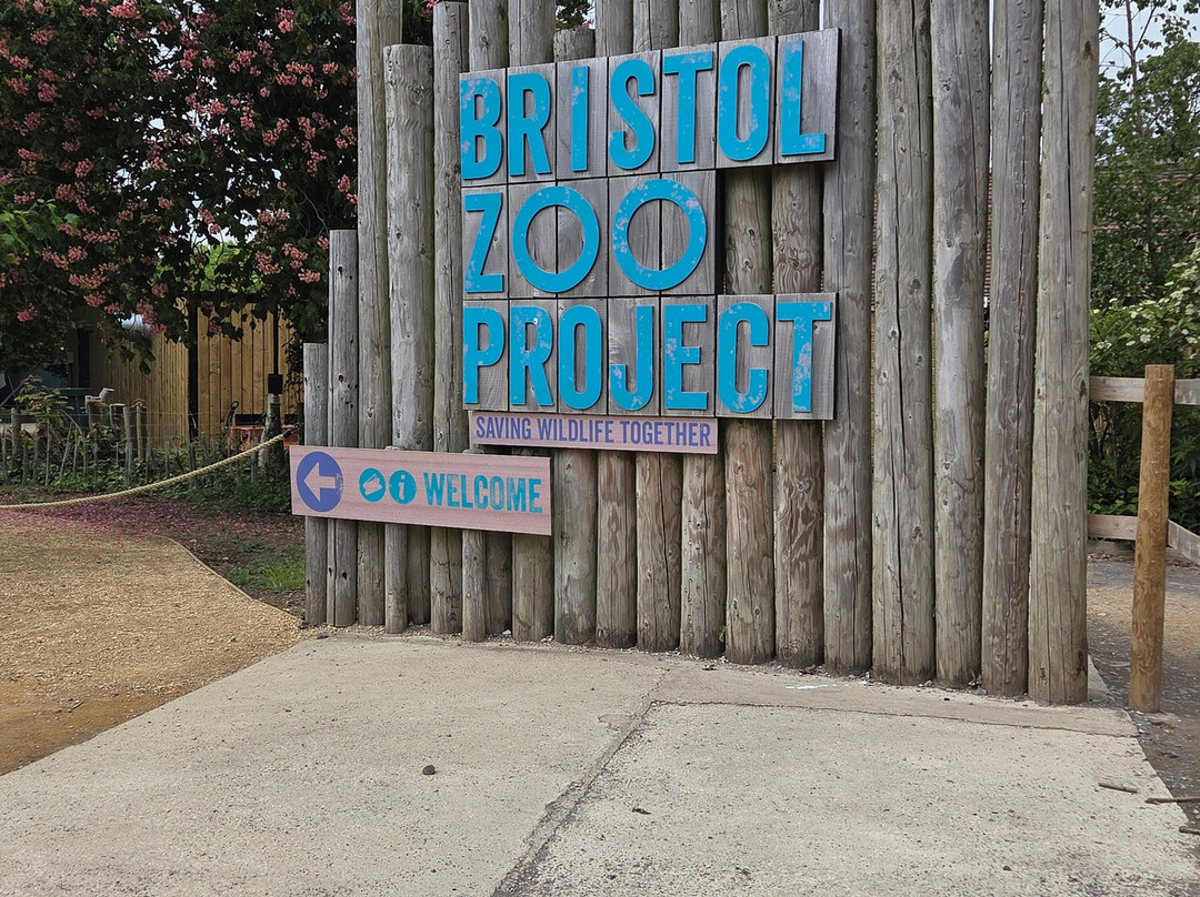 Bristol Zoo Project-Easter Compton必去景点