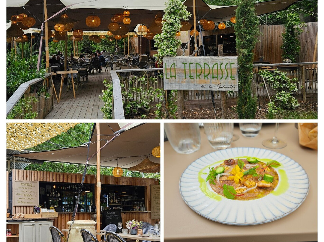 La Terrasse De La Galinette