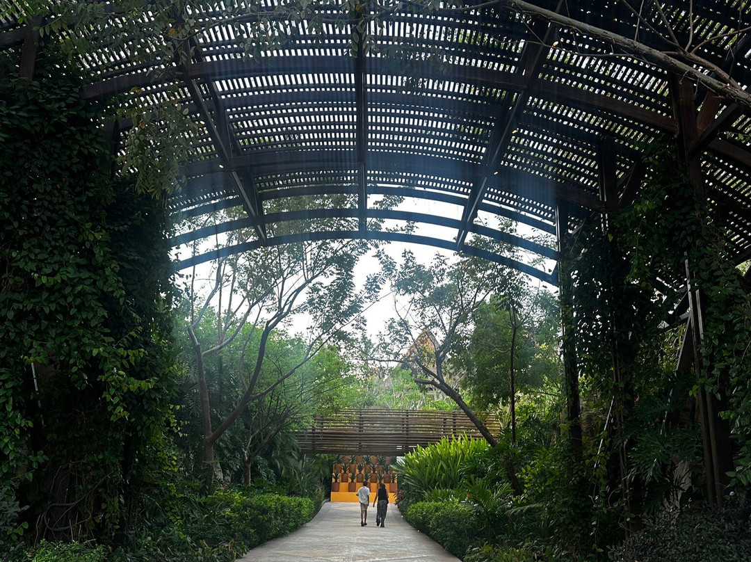 Mayan Palace at Vidanta Nuevo Nayarit主图