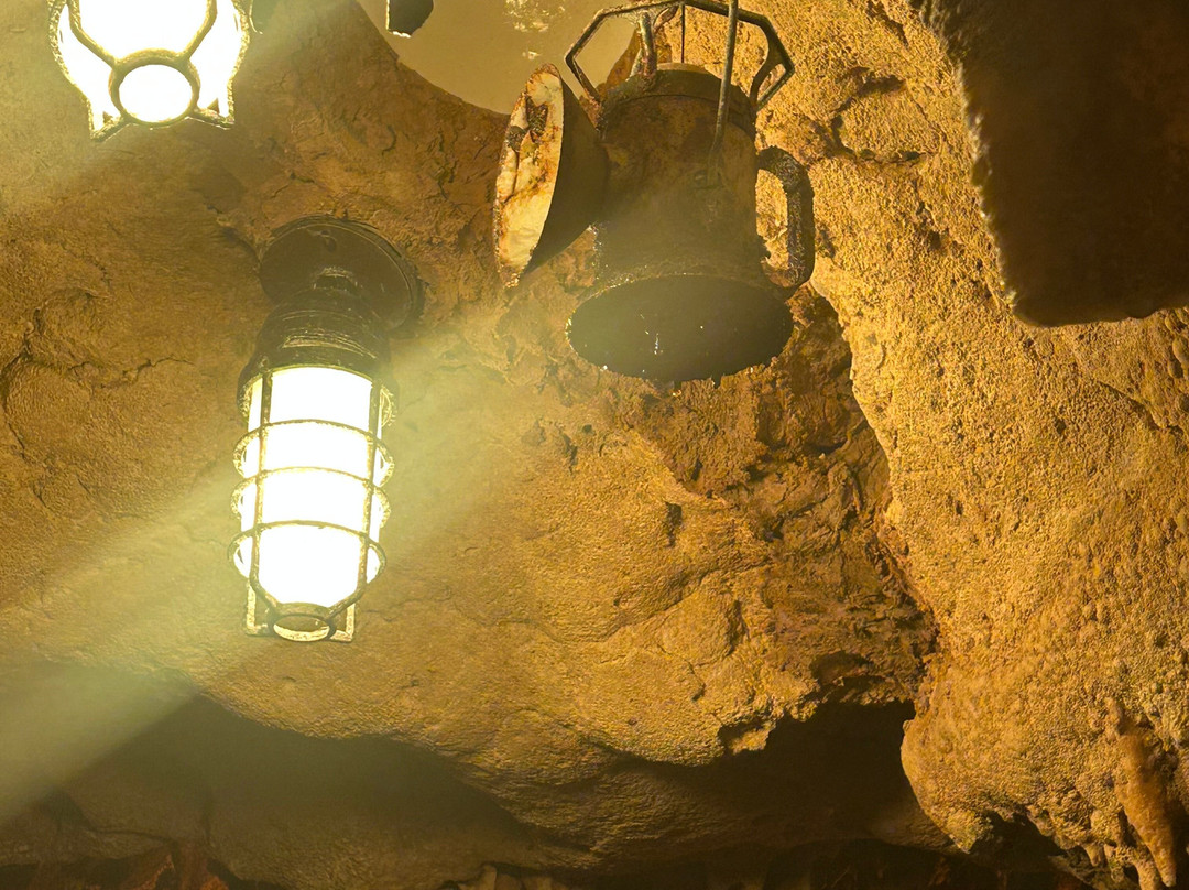 Florida Caverns State Park-Marianna必去景点