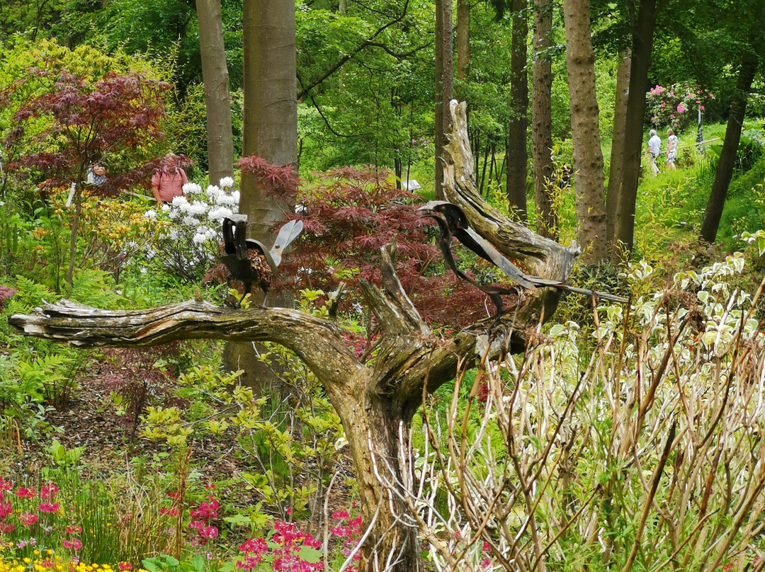 Himalayan Garden & Sculpture Park-Grewelthorpe必去景点