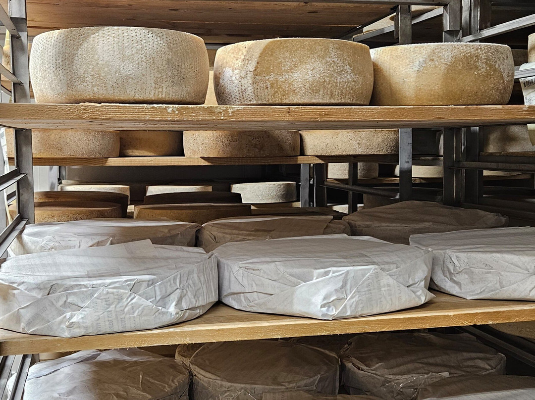 Formaggeria Carozzi-Pasturo必去景点
