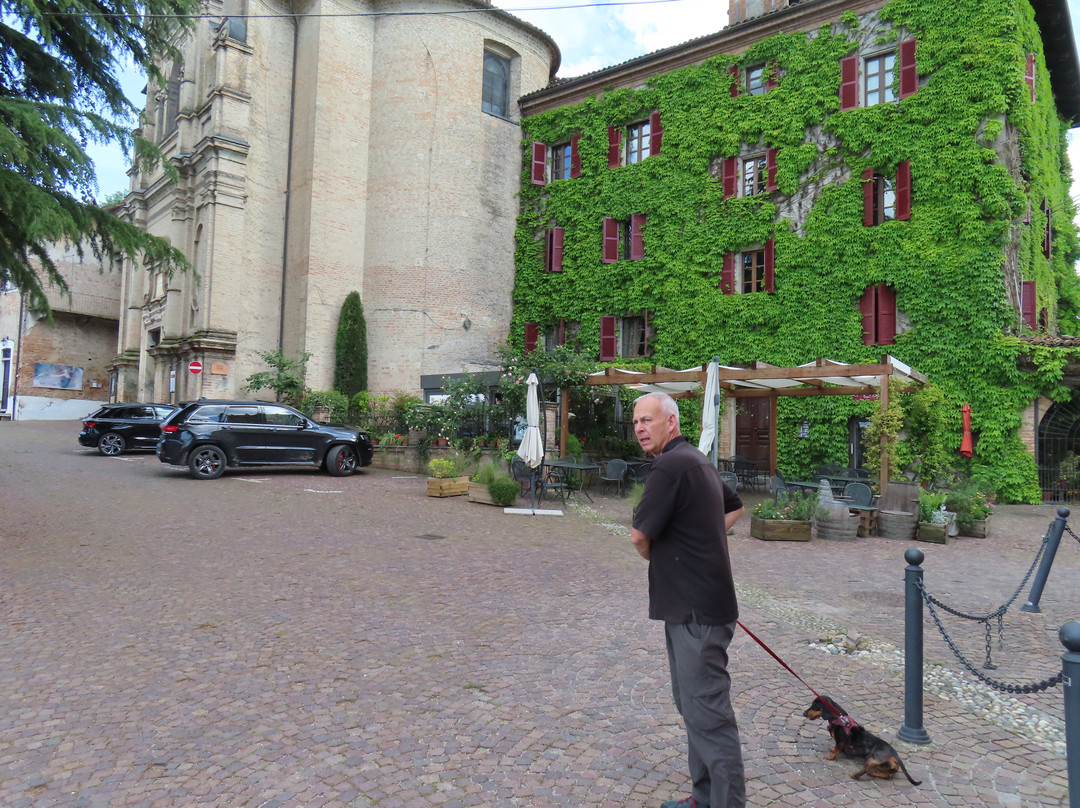 Travel Langhe  Wine Tours-Neive必去景点