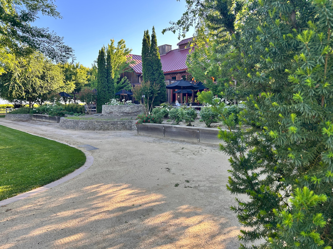 Oak Farm Vineyards-洛迪必去景点