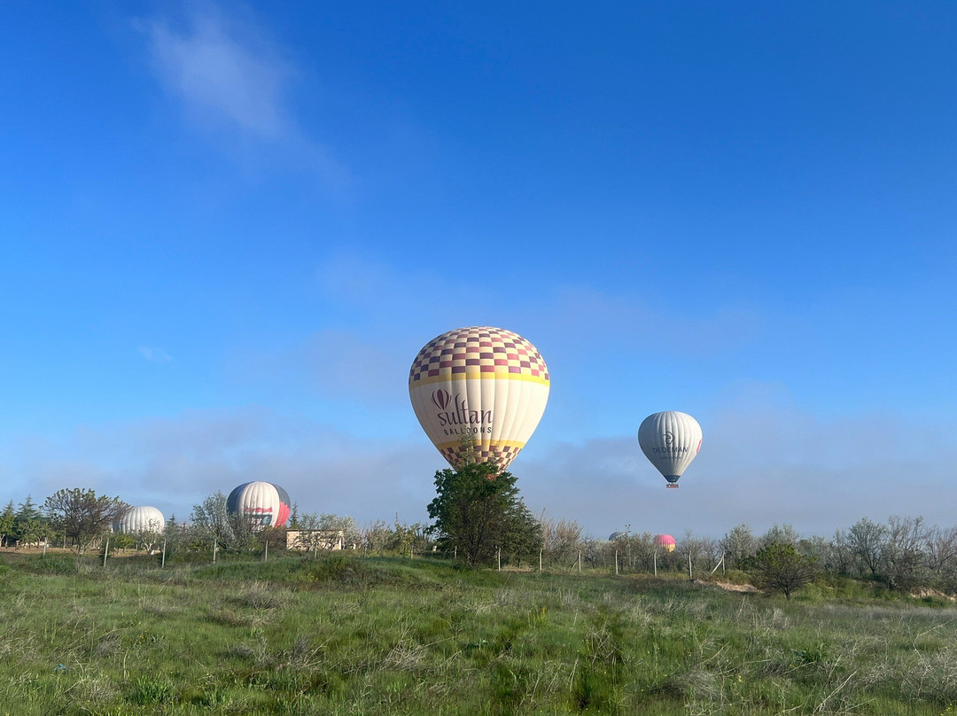 Discovery Balloons-格雷梅必去景点