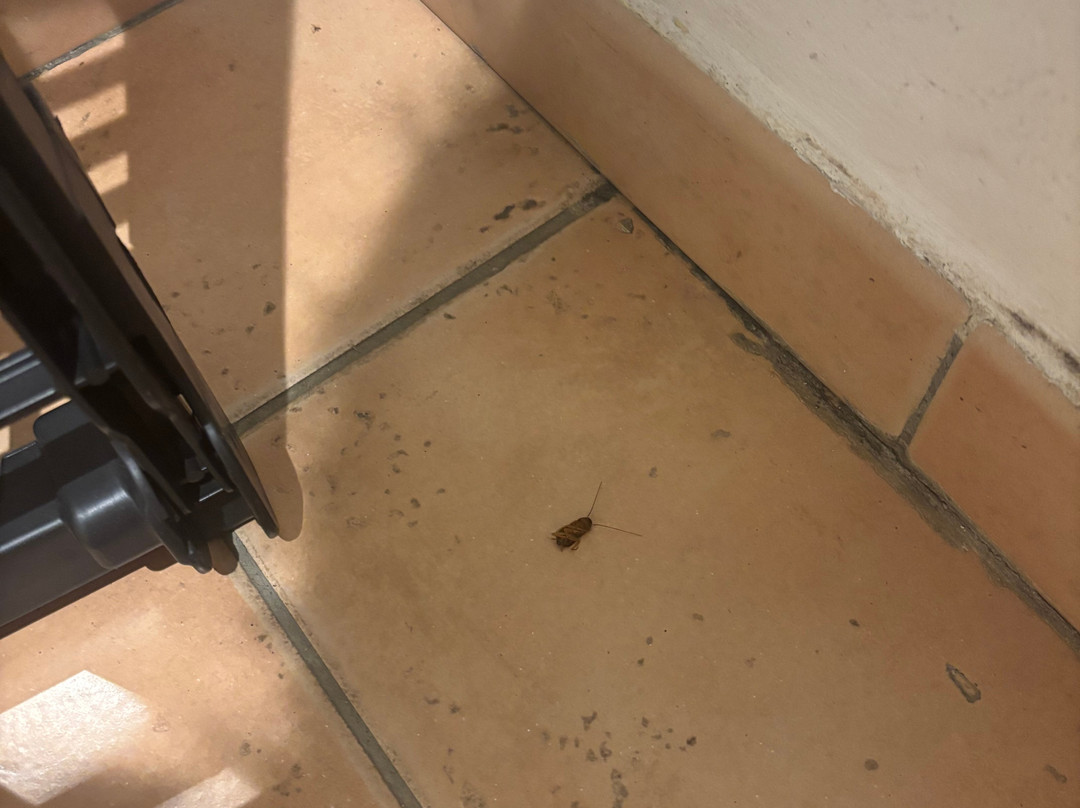 圣吕斯皮耶雷乡村度假主图
