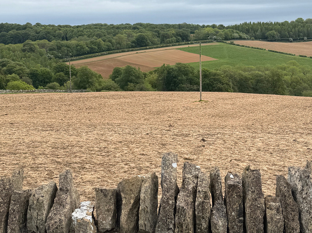 Best Cotswold Tours-Wyck Rissington必去景点