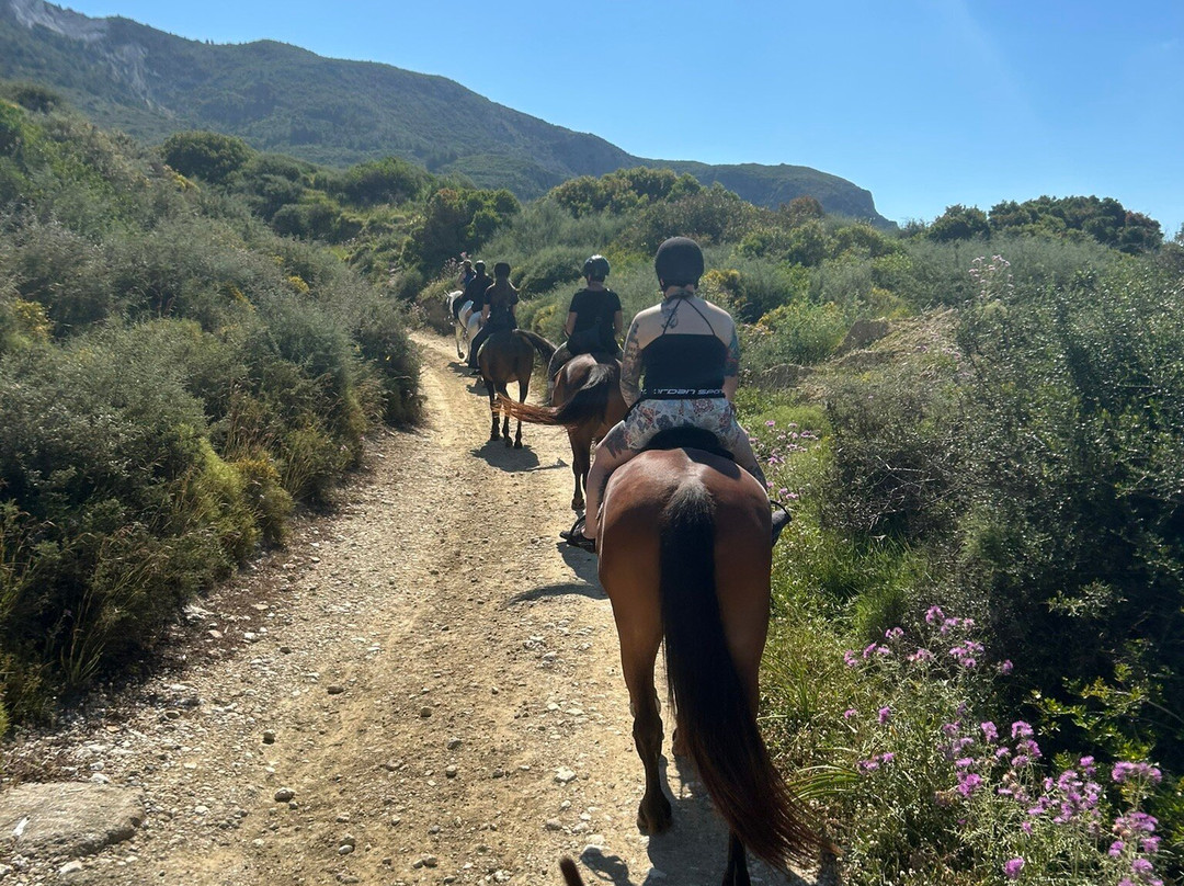 Laganas Horse Riding Center-扎金索斯必去景点