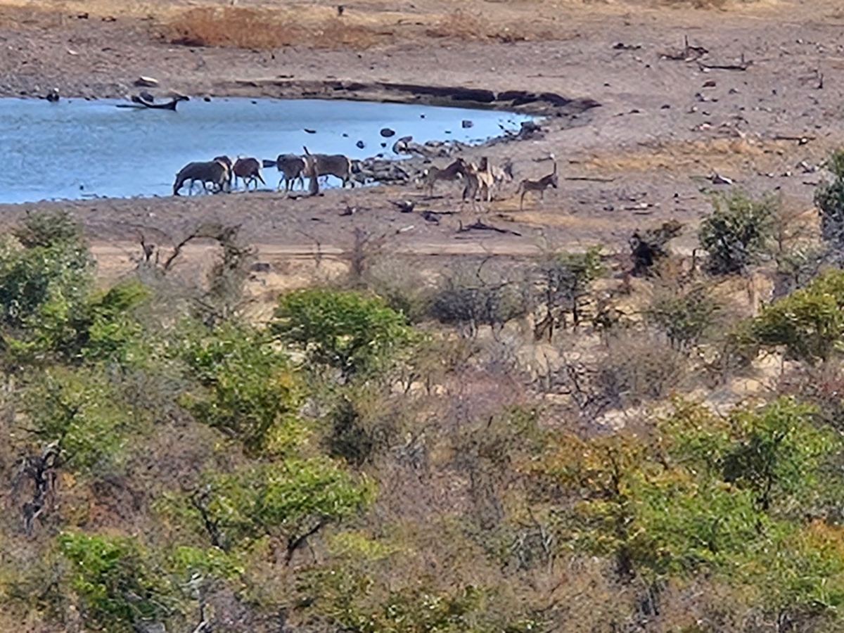 Safarihoek Lodge-旅行者