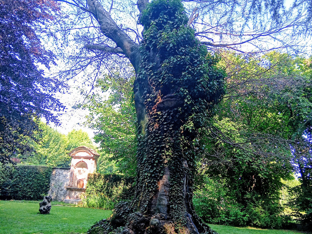 Villa Oldofredi Tadini-库内奥必去景点