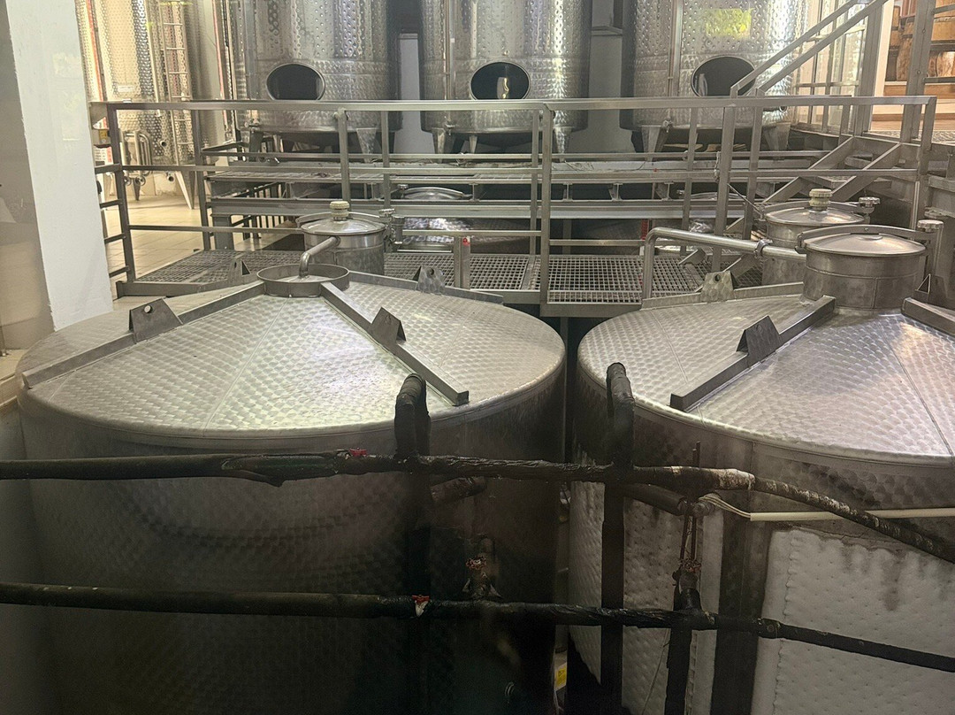 Tsangarides Winery-帕福斯必去景点