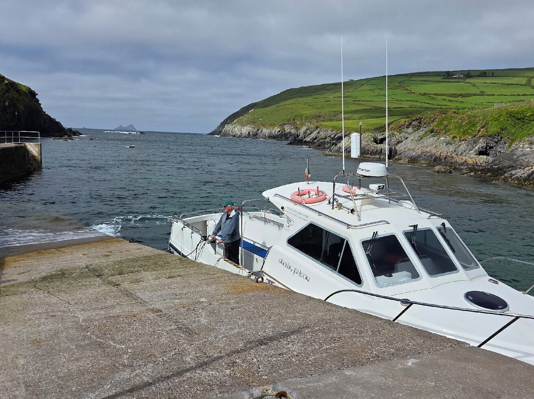 Skellig Falcon-Ballinskelligs必去景点