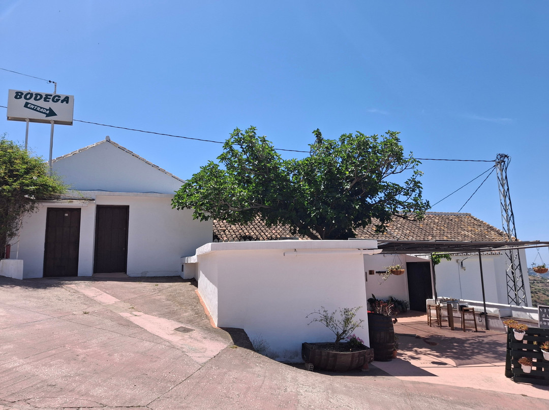 Bodegas Almijaras