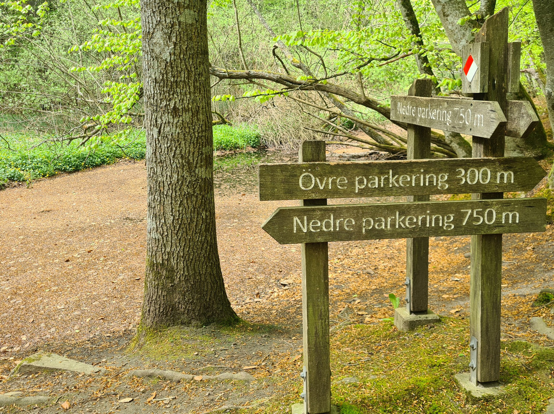 Forsakar Nature Reserve-Degeberga必去景点
