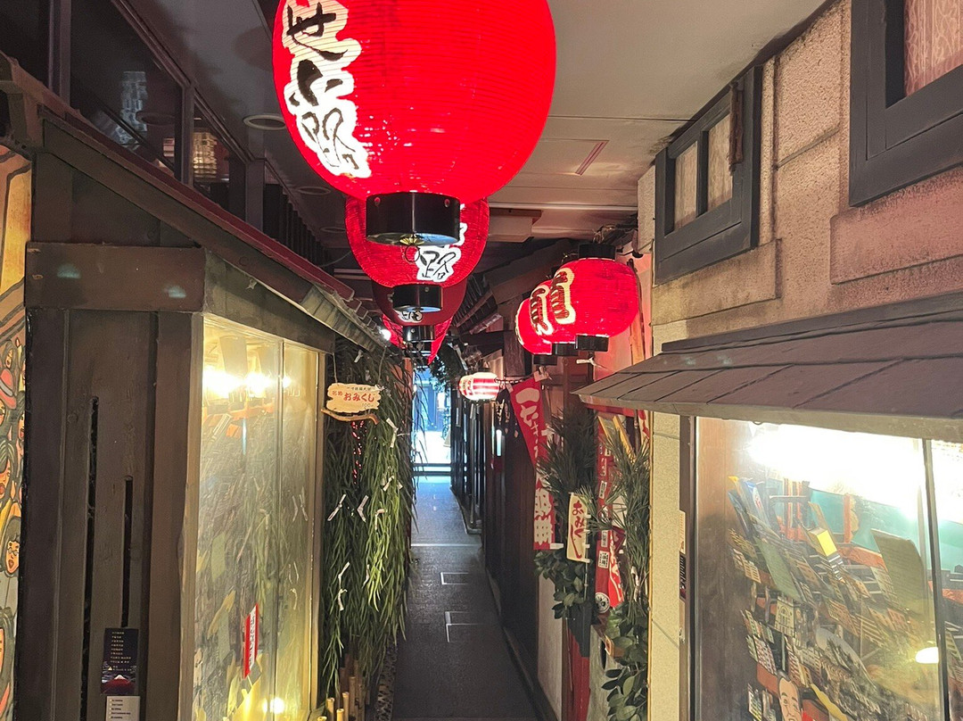Ukiyokoji Street-Dotombori必去景点