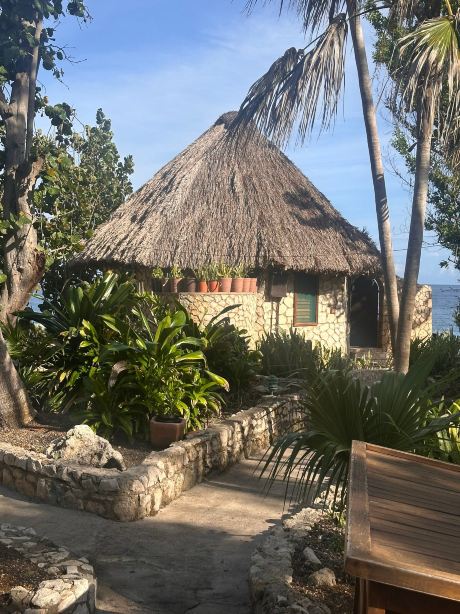 Rockhouse Hotel-旅行者