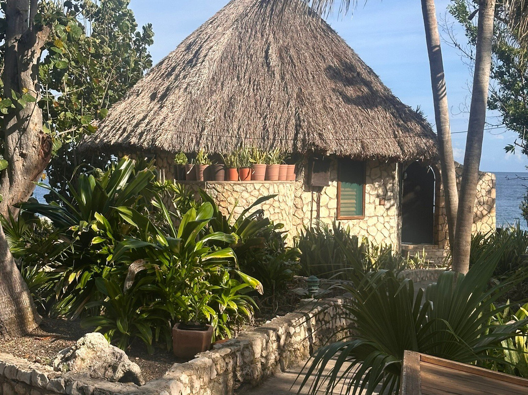 Rockhouse Hotel主图