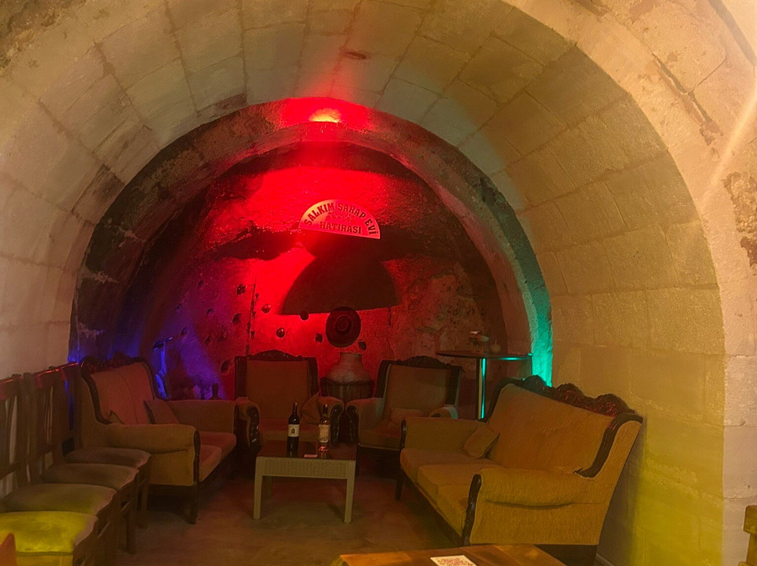 Salkim Sarap Evi (Wine tasting Tour)-阿瓦诺斯必去景点
