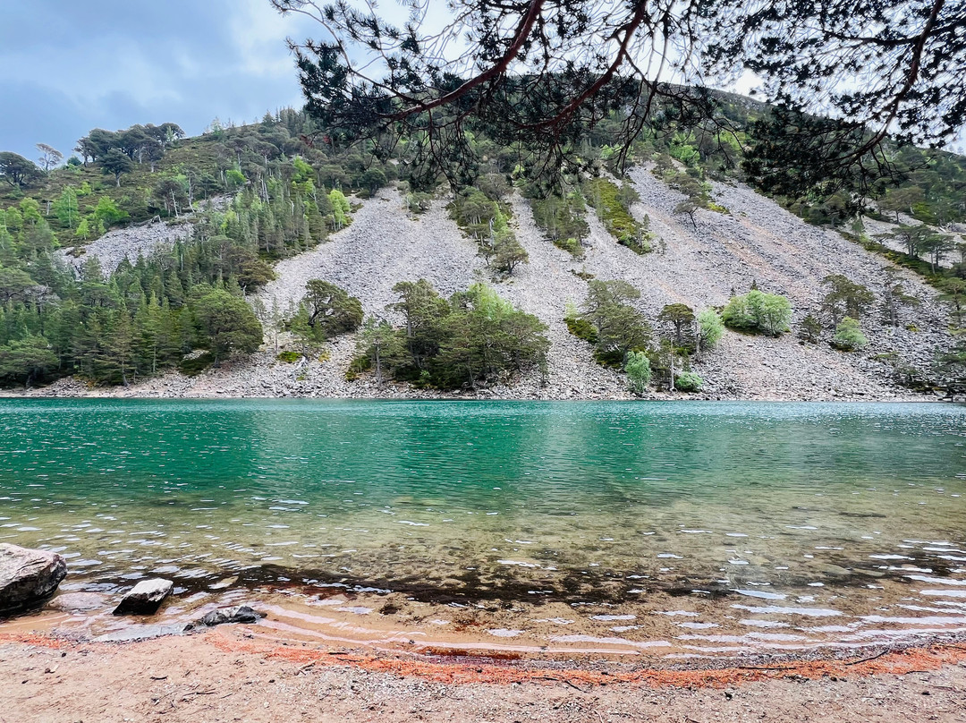 An Lochan Uaine-阿维莫尔必去景点