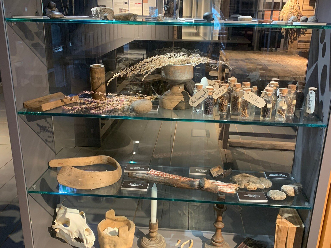 Wittensteini Tegevusmuuseum-派德必去景点