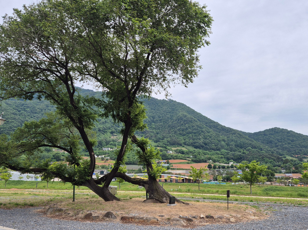 Bukbyeok-丹阳郡必去景点