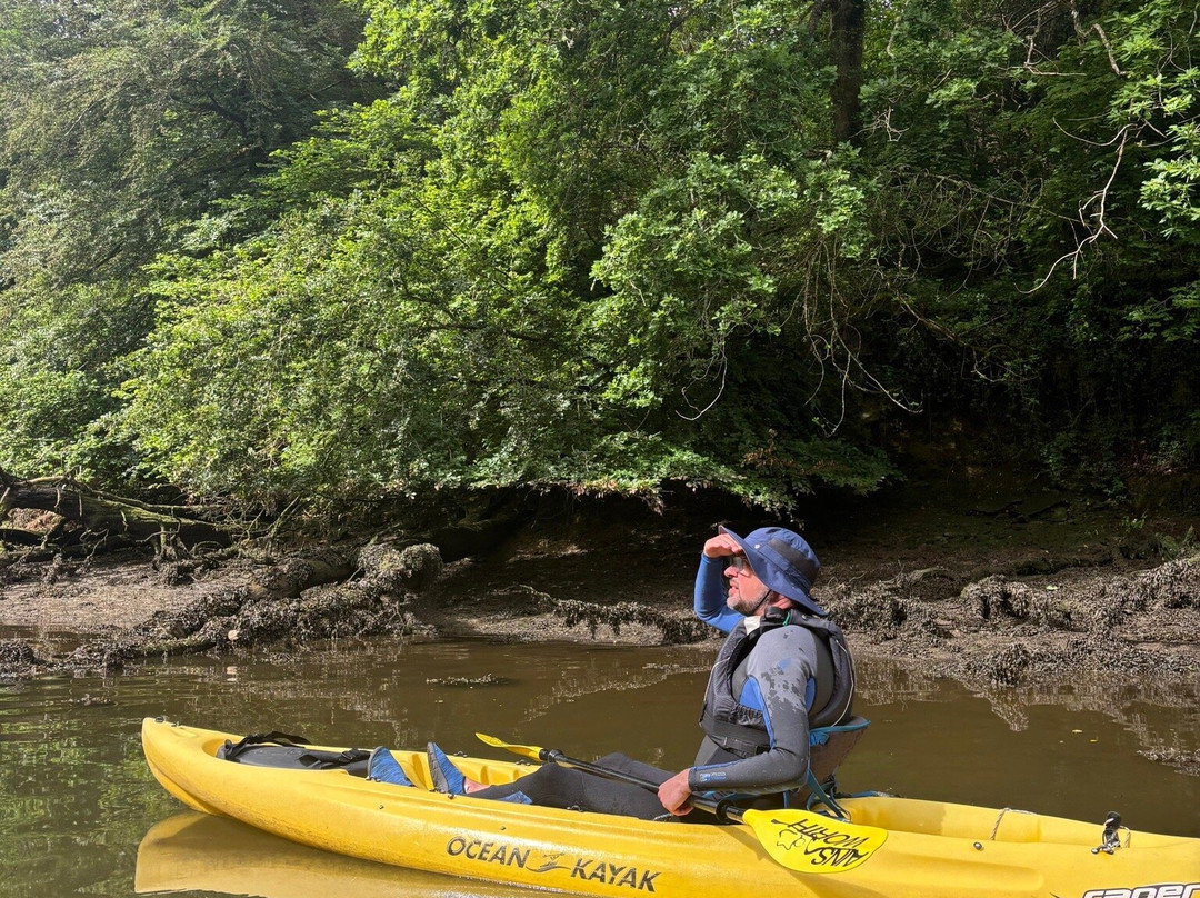 Koru Kayaking-St Agnes必去景点