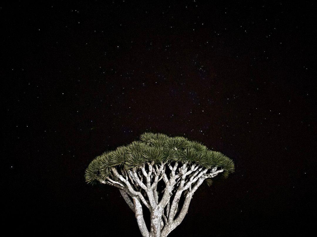 Embrace Socotra-Hadiboh必去景点
