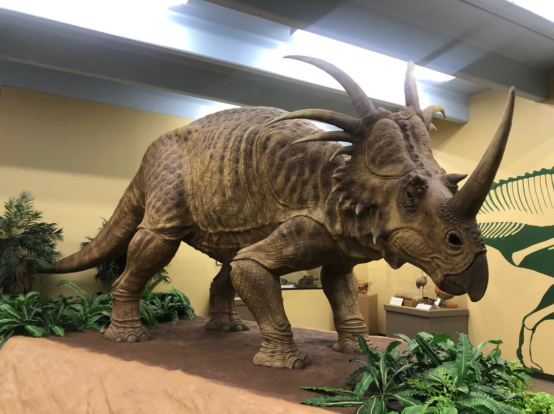 The Dinosaur Museum-布兰丁必去景点